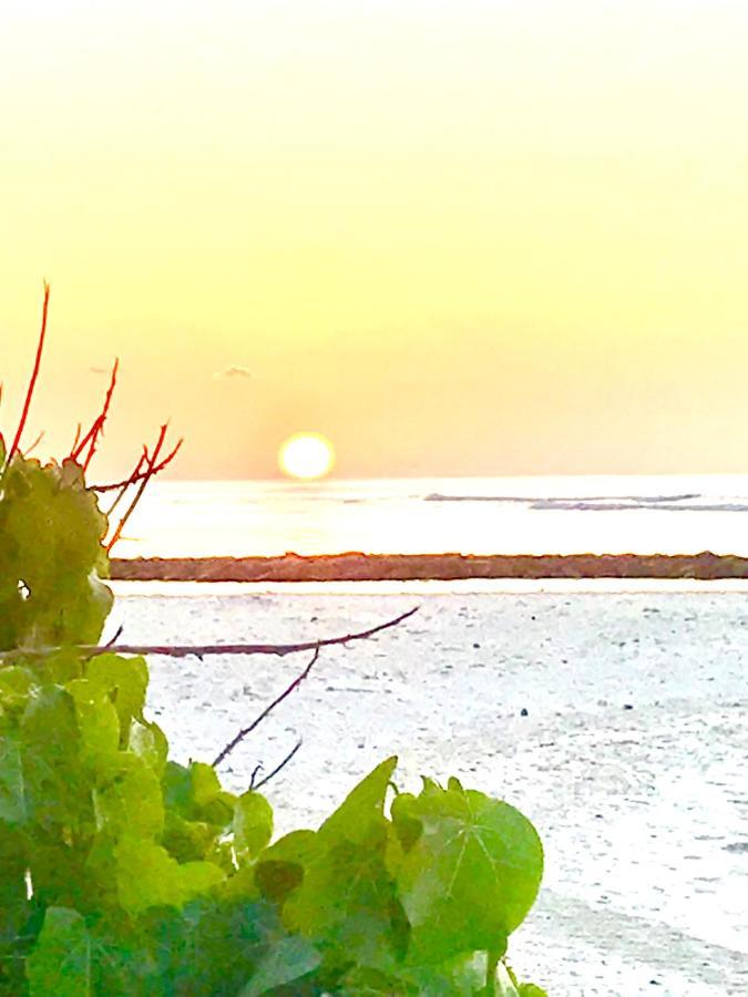Malas Island View Фулидхоо Экстерьер фото