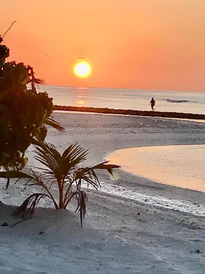 Malas Island View Фулидхоо Экстерьер фото